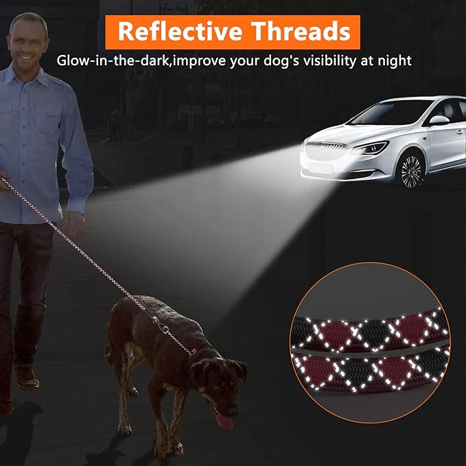 NTR Dog Long Leash 100FT Dog