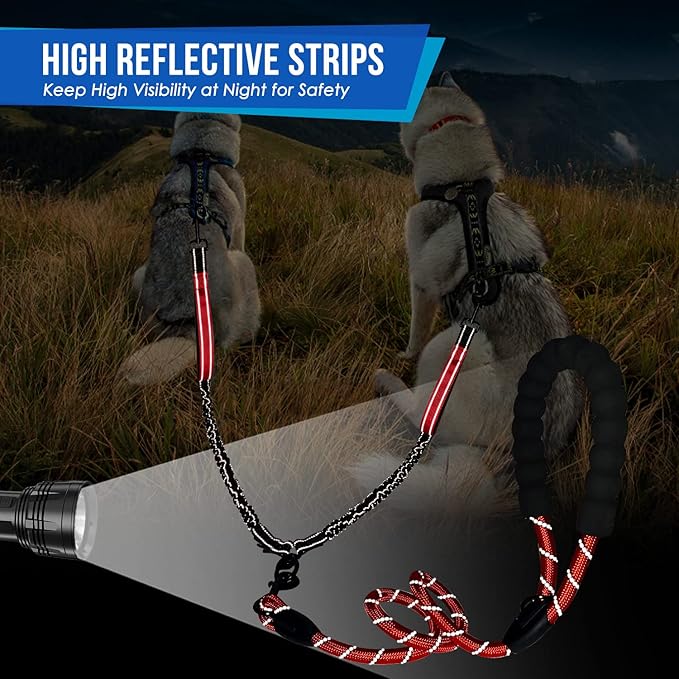 Lukovee Double Dog Leash 360° Swivel