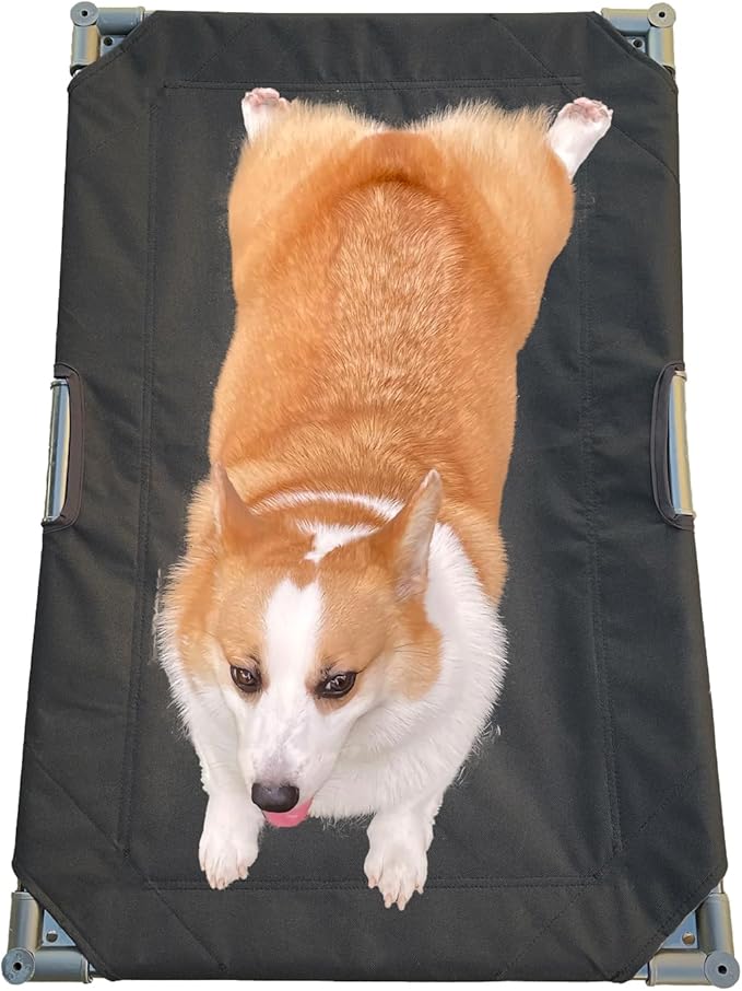 Love&go Elevated Dog Bed with Metal Frame (Medium-29.9x19.5x5.5 inch,