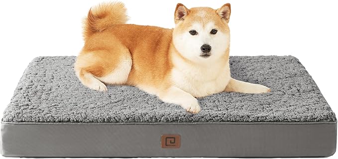 EHEYCIGA Orthopedic Foam Dog Bed for Large Dogs 35"L x 23"W x 3.5"Th, Light