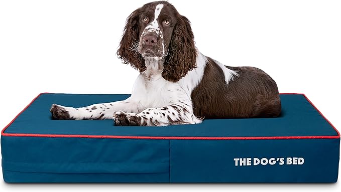 The Dog’s Bed Orthopedic Memory Foam Dog Bed 40x25, Pain