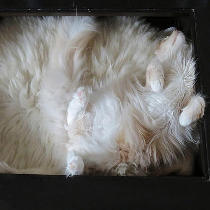 Fluffy Small Dog Cat Bed Mat