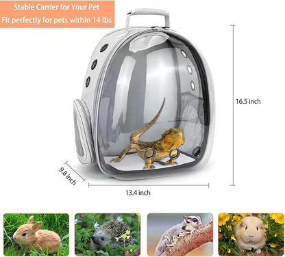 Bearded Dragon Carrier with Harness and Leash Set Large Small Animal Carrier Backpack Bubble Window Portable Small Pet Carrier for Reptile Lizard Rabbit Bird Guinea Pig Cat Travel Walking