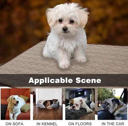 Summer Cooling Mat for Dogs Cats Self Dog Cooling Mat Breathable Pet Crate Pad Portable & Washable Pet Cooling Blanket for Small Medium and Large Pet Outdoor or Home Use (40 X 28in