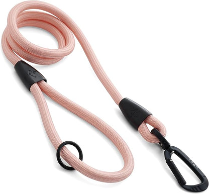 MADE TO ROAM Premium Everyday Leash 4ft (Metal