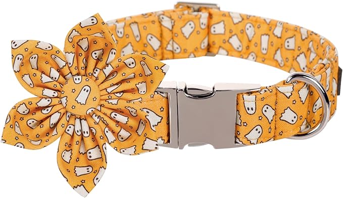 Lionet Paws Dog Collar with Flower 16-26in