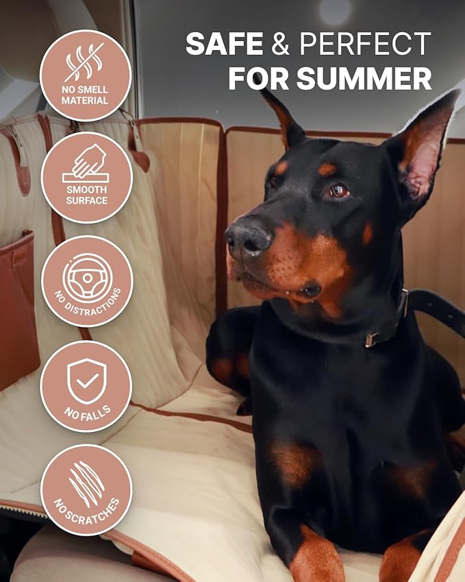 Backseat Extender for Dogs