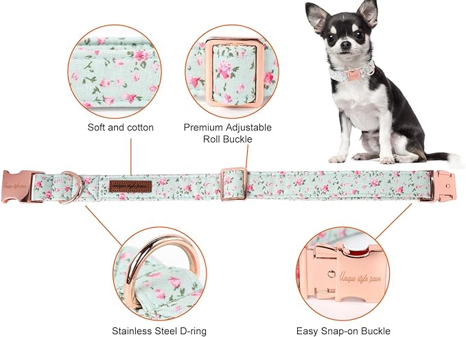 Unique style paws Dog Collar Metal Buckle Collar