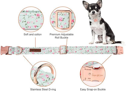 Unique style paws Dog Collar Metal Buckle Collar