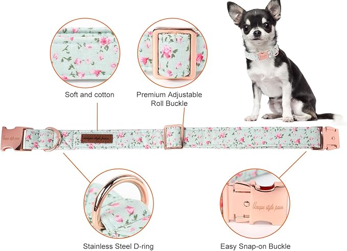 Unique style paws Dog Collar Metal Buckle Collar