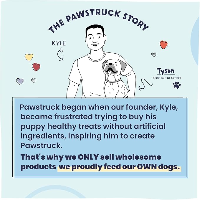 Pawstruck All Natural Air Dried Dog Food w/Real Beef - Grain Free, Made in USA, Non-GMO & Vet Recommended - High Protein Limited Ingredient Full-Feed - for All Breeds & Ages - 2.5oz Trial Bag