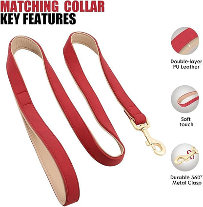 Beirui Soft Padded Leather Dog Collar and Leash Set 4FT Leather