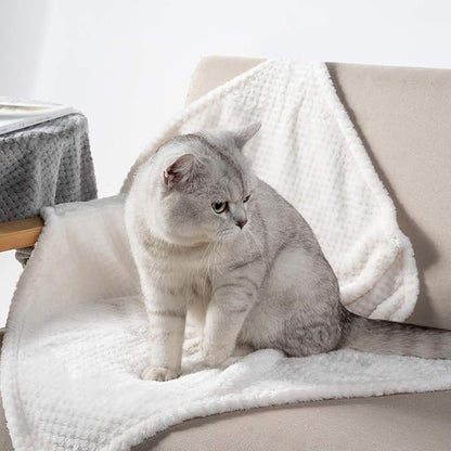 Dog Blanket or Cat Blanket or Pet Blanket (M/32" x 40", Ivory)