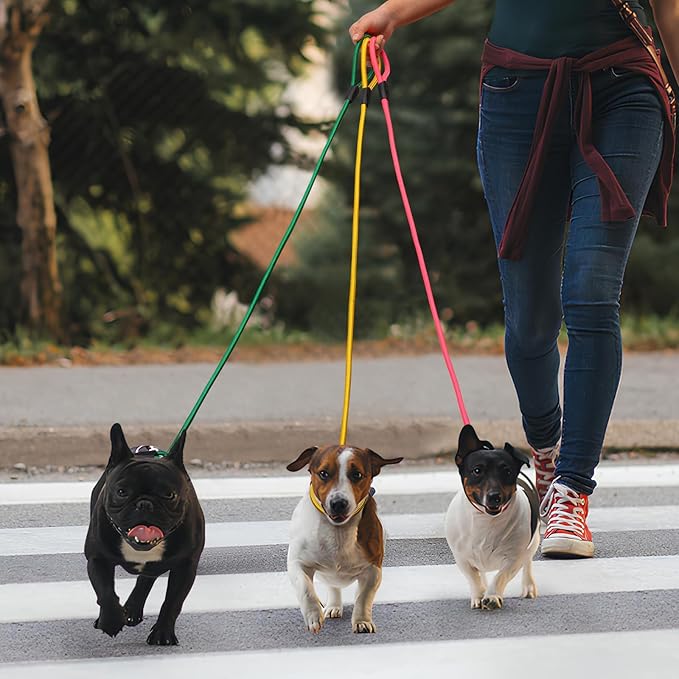 6pcs Slip Lead Dog Leash for Dogs no Pull 5FTStrong Rope Dogs(6 Colors)