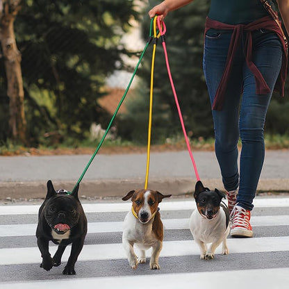 6pcs Slip Lead Dog Leash for Dogs no Pull 5FTStrong Rope Dogs(6 Colors)