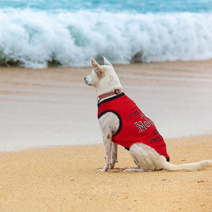 8 Pieces Dog Shirts Pet Printed Clothes with Funny Letters Summer Pet T Shirts Cool Puppy Shirts Breathable Dog Outfit Soft Dog Sweatshirt for Pet Dogs Cats (Classic Pattern