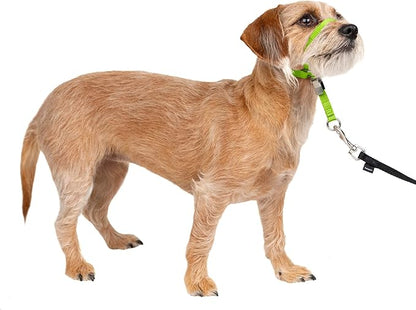 PetSafe Gentle Leader No-Pull Dog Headcollar