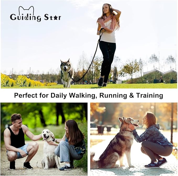 Guiding Star Double Handle Leather Dog Leash 6ft 6ft x 5/8 inch)
