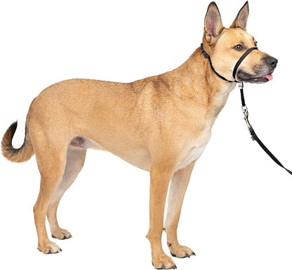 PetSafe Gentle Leader No-Pull Dog Headcollar