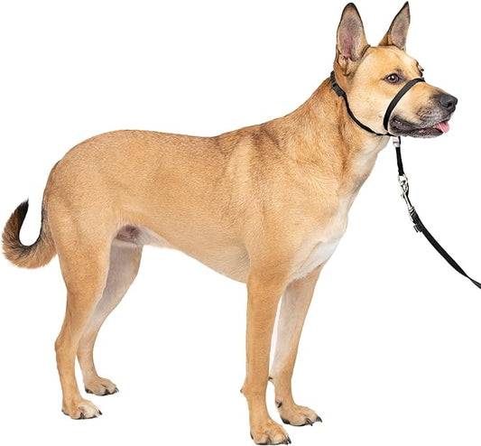 PetSafe Gentle Leader No-Pull Dog Headcollar