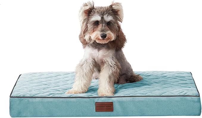 SunStyle Home Orthopedic Dog Beds for Small Dogs