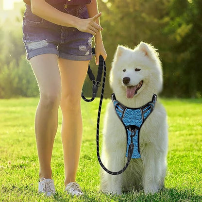 BARKBAY Dog Harness No Pull with ID Tag Pocket - Heavy Duty, Reflective, Easy Control for Large Dogs (Blue/Black,S)