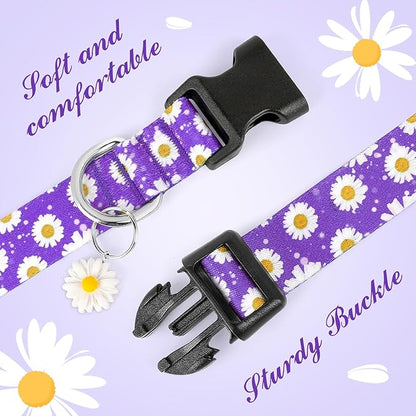 BiPawTi Floral Dog Collars for Large Dog