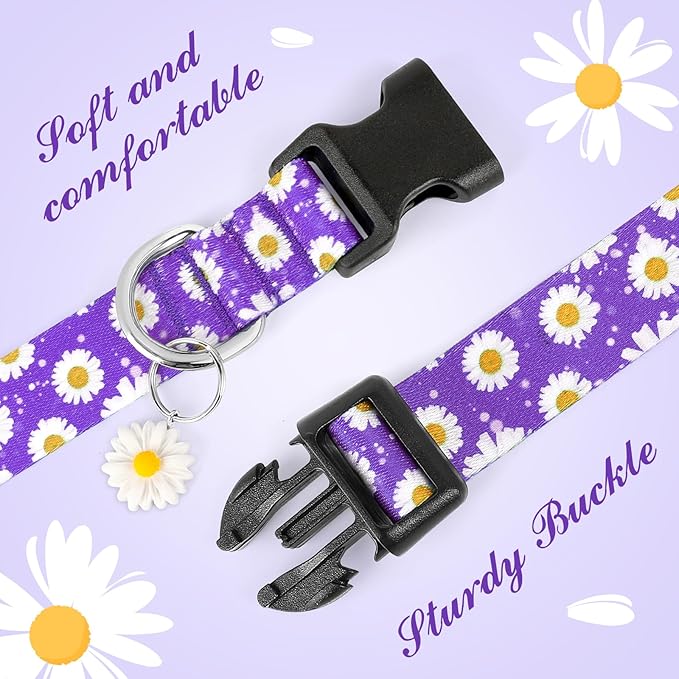 BiPawTi Cute Dog Collars for Medium Dog