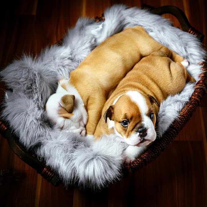 Fluffy Pet Dog Cat Bed Mat