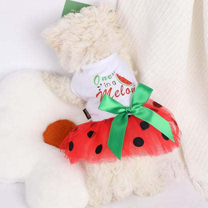 Dog Dress for Small Medium Dogs Girl Watermelon Polka Dots Mesh Dress Dog Outfit