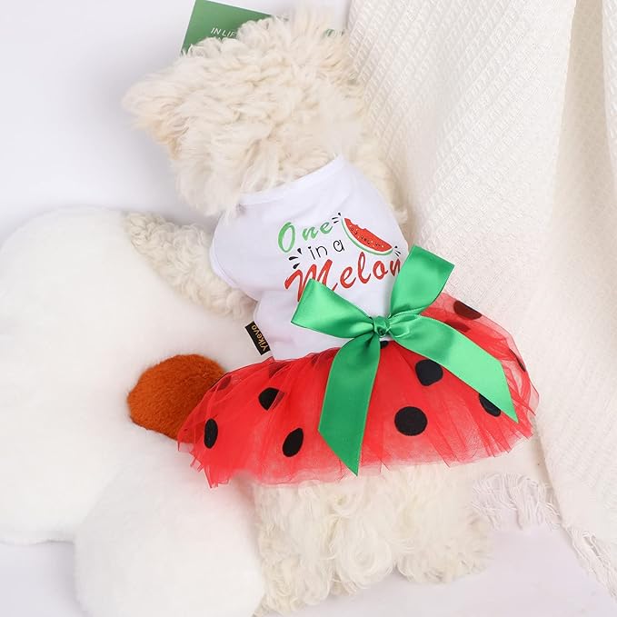 Dog Clothes for Small Dogs Girl Watermelon Polka Dots Mesh Dress Dog Outfit