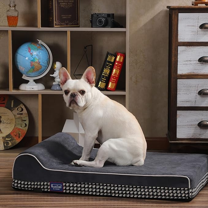 Laifug Orthopedic Memory Foam Extra Large Dog Bed with Pillow and Durable Water Proof Liner & Removable Washable Cover & Smart Design (Medium (34"x22"x7")