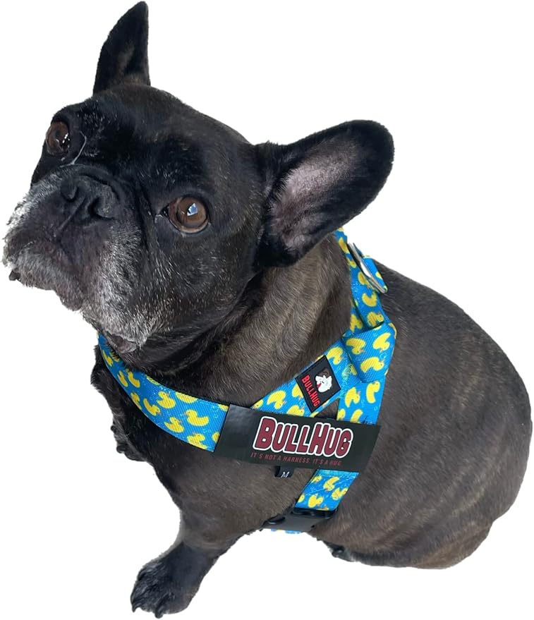 BULLHUG Harness – Made for Larger Chested Dogs Like English Bulldogs