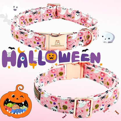 Lionheart glory Dog Collar Fall Halloween Pumpkin Collars