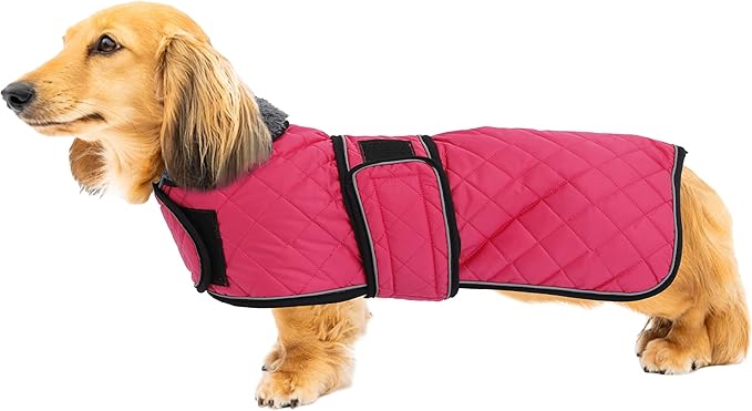 Geyecete Warm Thermal Quilted Dachshund Coat