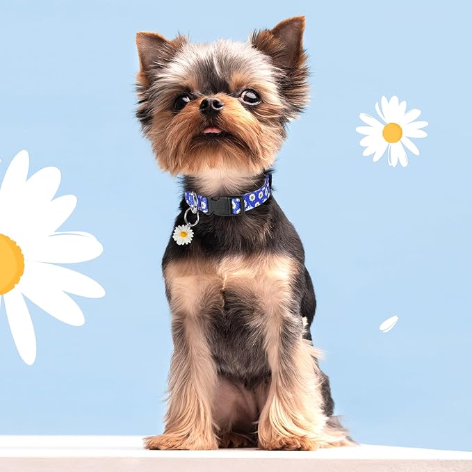 BiPawTi Floral Dog Collars for Large Dog