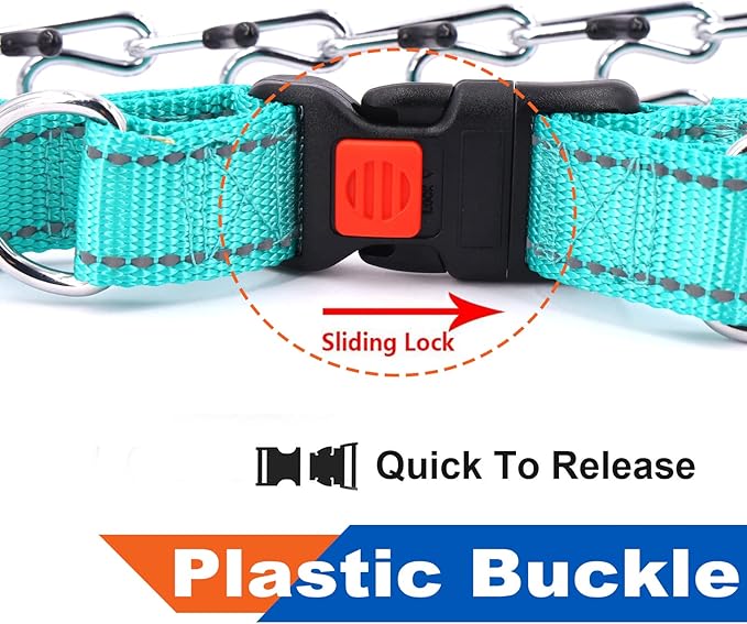 Supet Dog Prong Collar