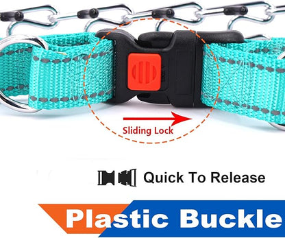 Supet Dog Prong Collar