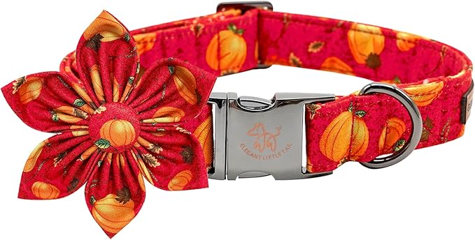 Elegant little tail Dog Collar with Flower