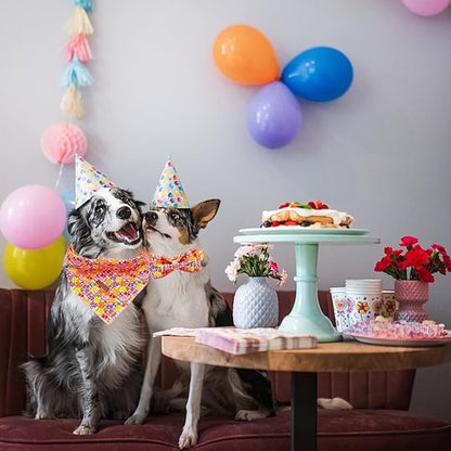 Elegant little tail Dog Collar with Bow