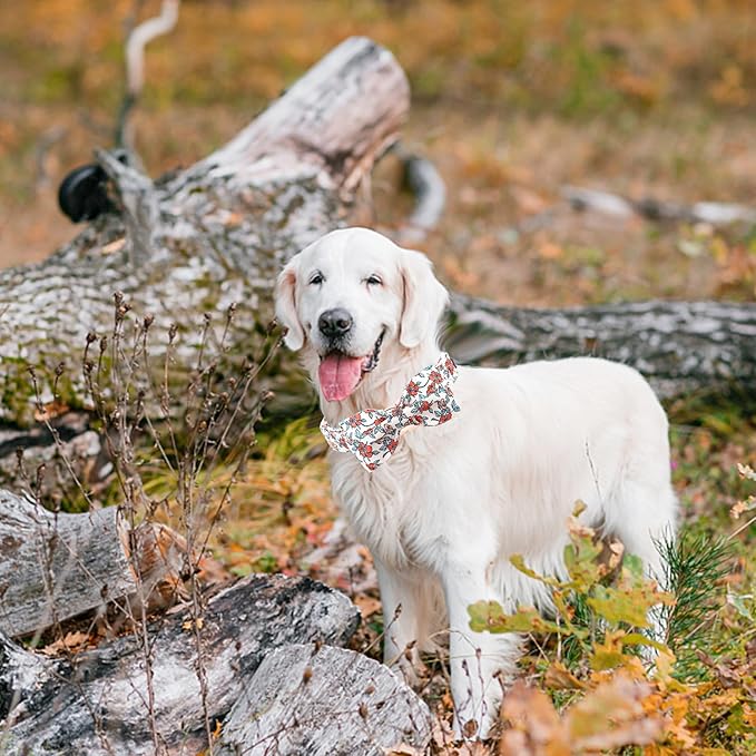 Lionheart glory Dog Collar Fall Dog Collars