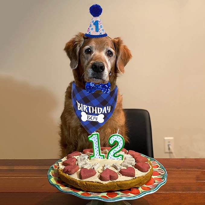 ADOGGYGO Dog Birthday Party Supplies