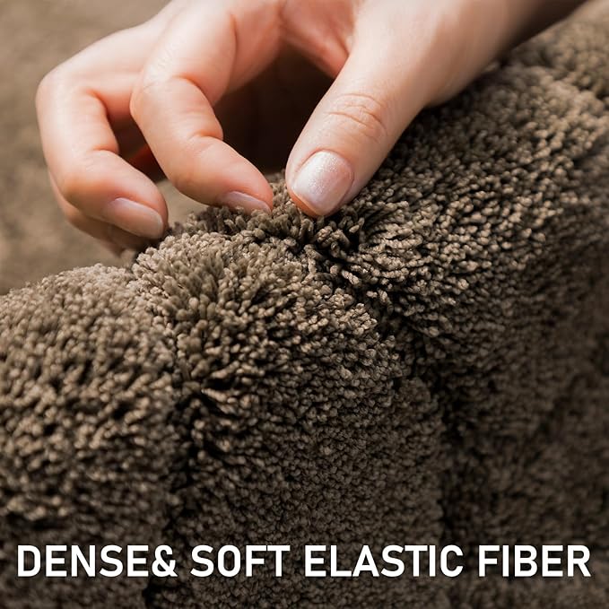 Large Dog Door Mat for Muddy Paws 24x59 Absorbent