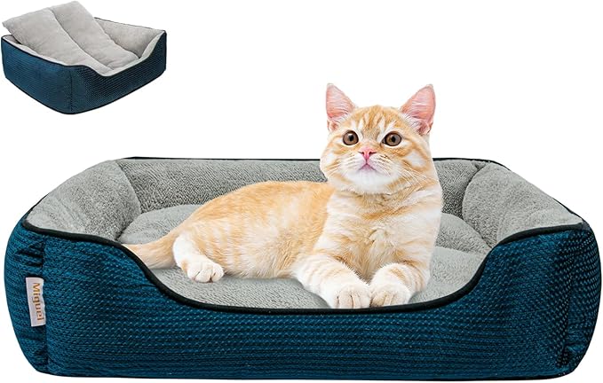 Miguel Washable Cat Beds for Indoor Cats with Removable Cushion/Pillow 20 Inch