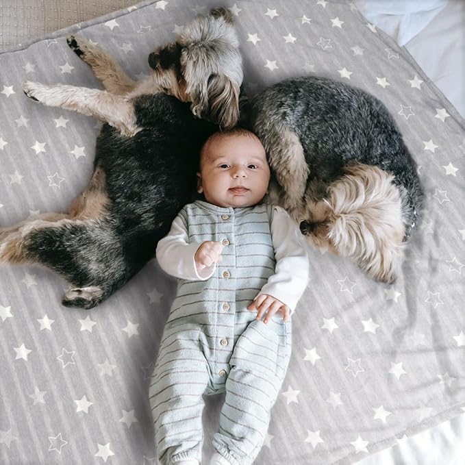 ARGOPET Dog Cooling Blanket 28 * 21inch Lightweight