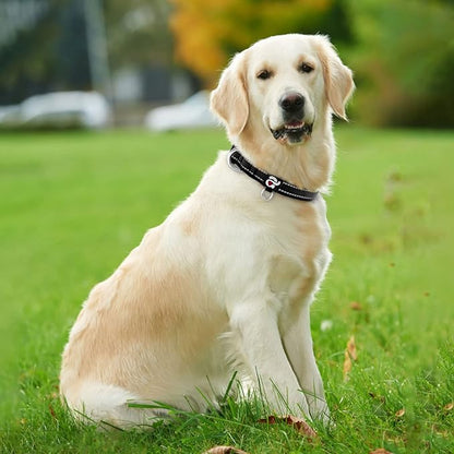 azuza Reflective Dog Collar