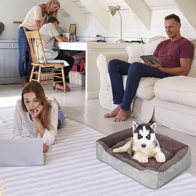 PUPPBUDD Dog Beds for Medium Dogs