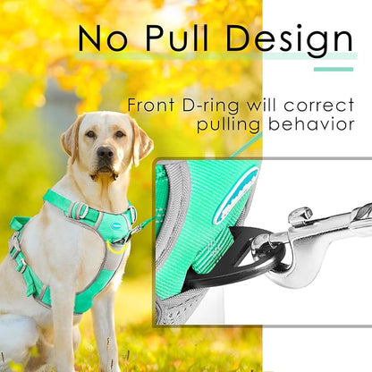 ThinkPet No Pull Harness Breathable Sport Harness with Handle-Dog Harnesses Reflective Adjustable for Medium Large Dogs,Back/Front Clip for Easy Control S Teal