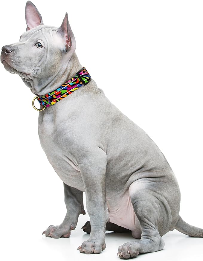 Reflective Dog Collar