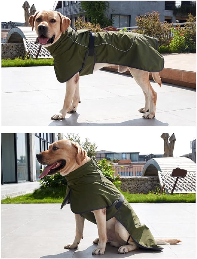 Dog Raincoat 3XL